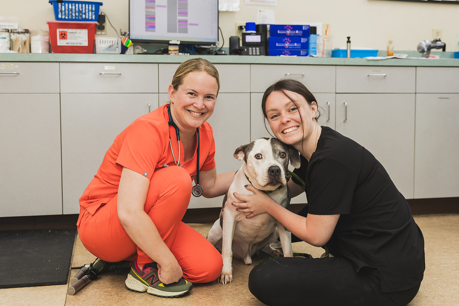 Arnold Pet Station Lab